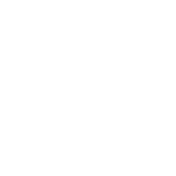 Revature
